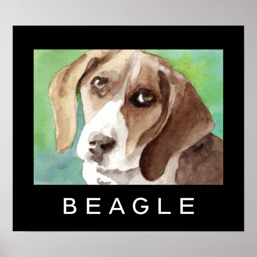 Beagle Posters (Voorkant)