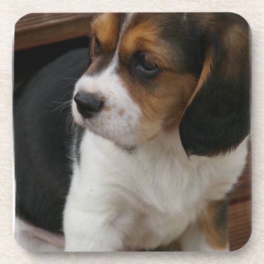 Beagle Pup Cork Onderzetters (Voorkant)