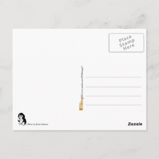 Beagle Pup Dreaming of Getting Fit Briefkaart (Achterkant)