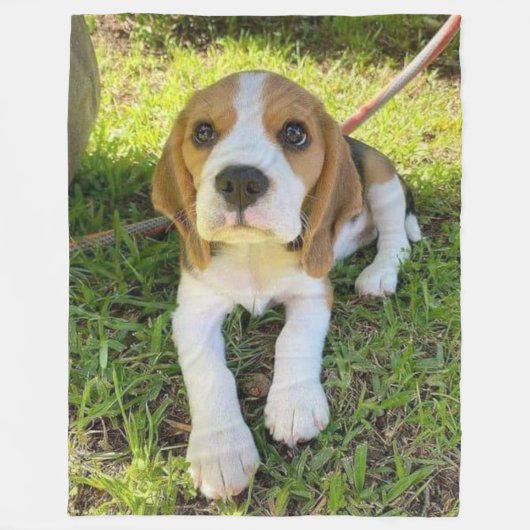 BEAGLE PUP FLEECE DEKEN (Voorkant)