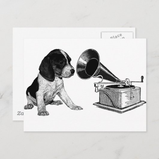 Beagle Pup met Gramophone Briefkaart (Voorkant / Achterkant)