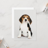 Beagle pup, ongelofelijk schattig kaart (Voorkant / Achterkant in situ)