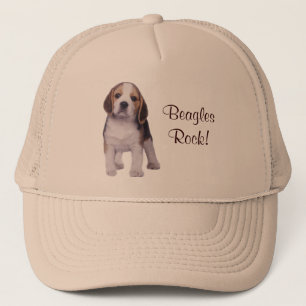 Beagle Pup Pet