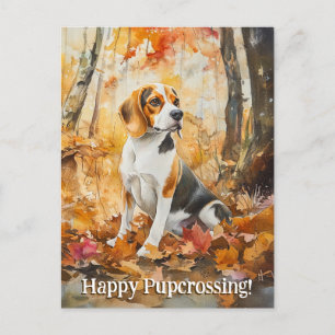 Beagle Pupcrossing - Briefkaart