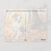 Beagle Pupcrossing - Briefkaart (Achterkant)