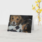 Beagle Puppies Birthday Kaart (Gele Bloem)