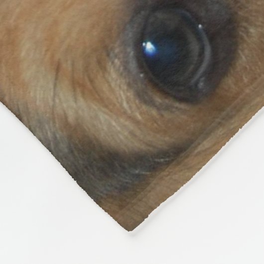 Beagle Puppies Fleece Deken (Hoek)