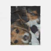 Beagle Puppies Fleece Deken (Voorkant)