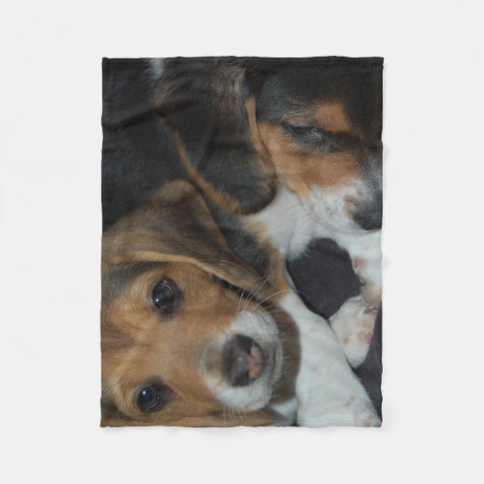 Beagle Puppies Fleece Deken (Voorkant)