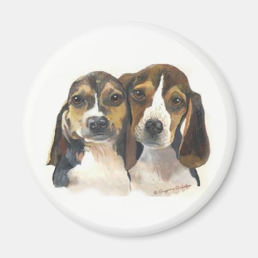 Beagle Puppies magneet (Voorkant)
