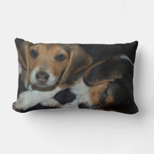 Beagle Puppies Pillow Kussen