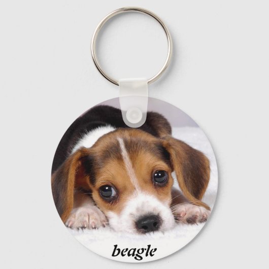 beagle-puppies-wallpaper-11.jpg, beagle sleutelhanger (Voorkant)