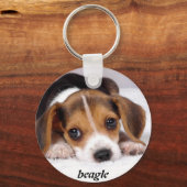 beagle-puppies-wallpaper-11.jpg, beagle sleutelhanger (Voorkant)