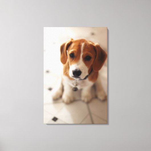 Beagle Puppy 2 Canvas Afdruk (Voorkant)