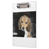 beagle puppy 2 klembord (Links)