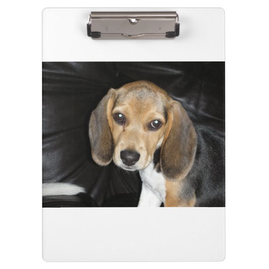 beagle puppy 2 klembord (Voorkant)