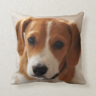 Beagle Puppy 2 Kussen