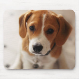 Beagle Puppy 2 Muismat