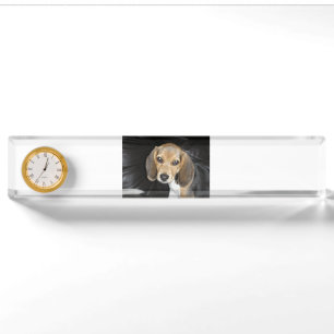 beagle puppy 2 naambordje