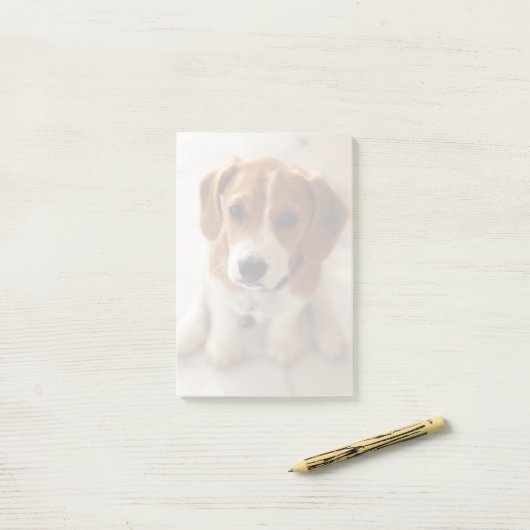 Beagle Puppy 2 Post-it® Notes (Op bureau)