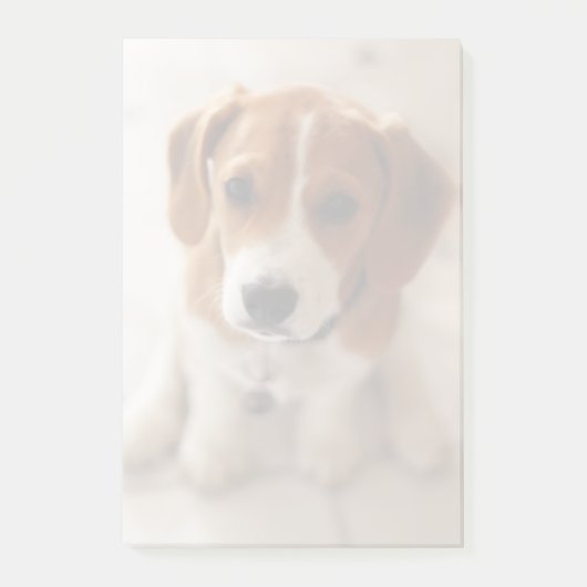 Beagle Puppy 2 Post-it® Notes (Voorkant)