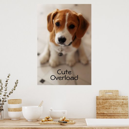 Beagle Puppy 2 Poster (Keuken)