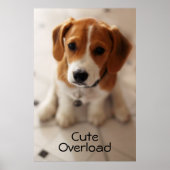 Beagle Puppy 2 Poster (Voorkant)