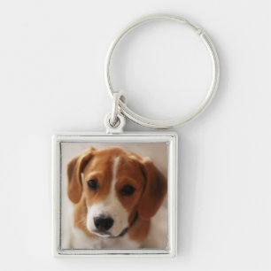 Beagle Puppy 2 Sleutelhanger