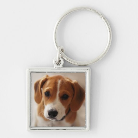 Beagle Puppy 2 Sleutelhanger (Voorkant)