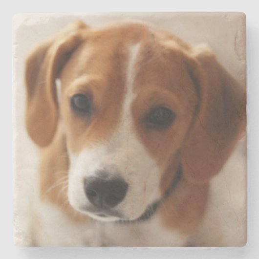 Beagle Puppy 2 Stenen Onderzetter (Voorkant)