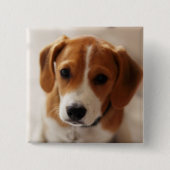 Beagle Puppy 2 Vierkante Button 5,1 Cm (Voorkant)