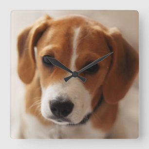 Beagle Puppy 2 Vierkante Klok
