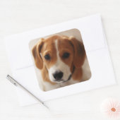 Beagle Puppy 2 Vierkante Sticker (Envelop)