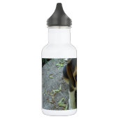 Beagle_puppy_6_weeks.png Waterfles (Links)