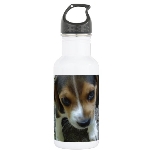 Beagle_puppy_6_weeks.png Waterfles (Voorkant)