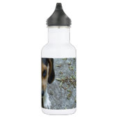 Beagle_puppy_6_weeks.png Waterfles (Rechts)