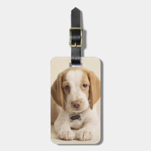 Beagle Puppy Bagagelabel