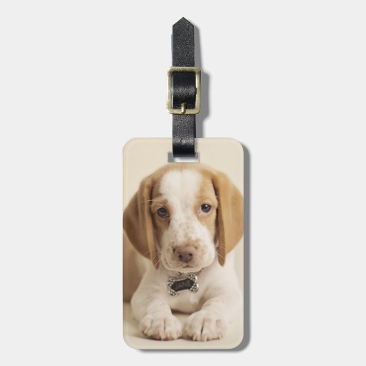 Beagle Puppy Bagagelabel (Voorkant verticaal)