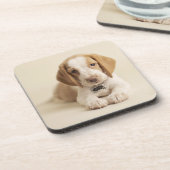 Beagle Puppy Bier Onderzetter (Linkerzijde)