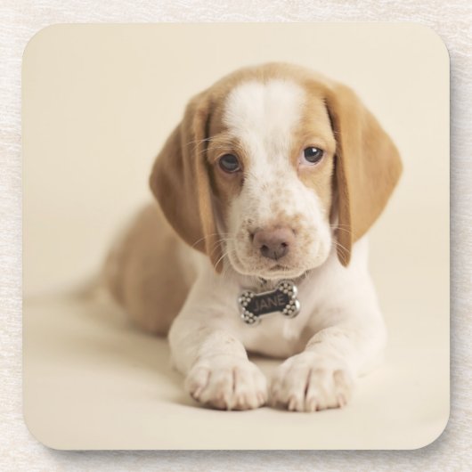 Beagle Puppy Bier Onderzetter (Voorkant)