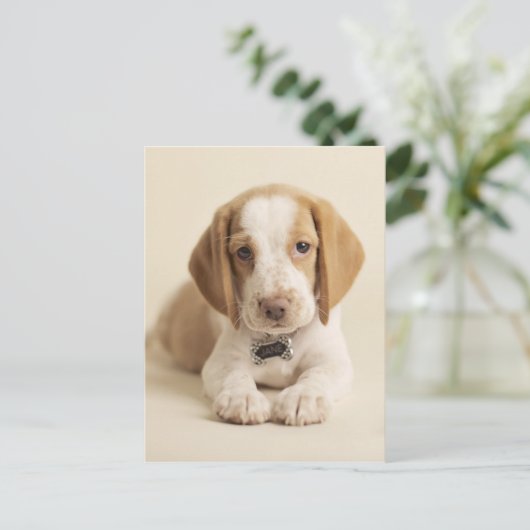 Beagle Puppy Briefkaart (Staand voorkant)