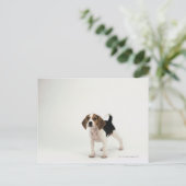 Beagle puppy briefkaart (Staand voorkant)