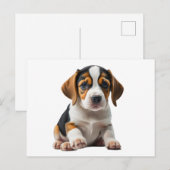 Beagle Puppy Briefkaart (Voorkant / Achterkant)