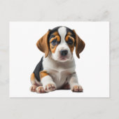 Beagle Puppy Briefkaart (Voorkant)