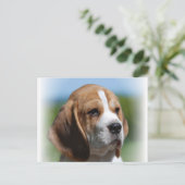 Beagle Puppy Briefkaart (Staand voorkant)