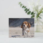 Beagle puppy briefkaart (Staand voorkant)