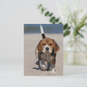 Beagle puppy briefkaart (Staand voorkant)