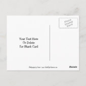 Beagle Puppy Butterflies  Briefkaart (Achterkant)