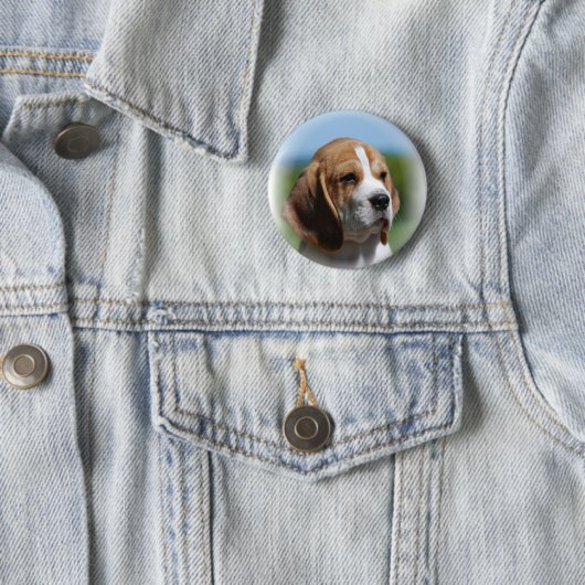 Beagle Puppy Button (In situ)