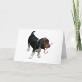 Beagle Puppy Candy Cane Kerstmis Kaart (Voorkant)